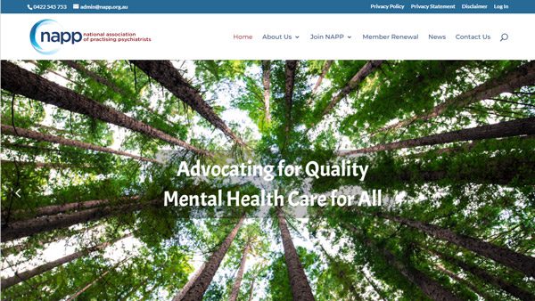 National Association of Practicing Psychiatrist